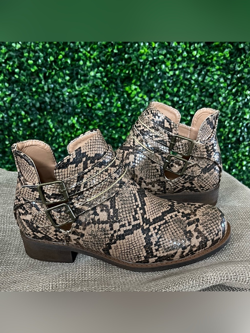 Snake-Print Ankle Booties with Buckle Straps - Taupe NEW